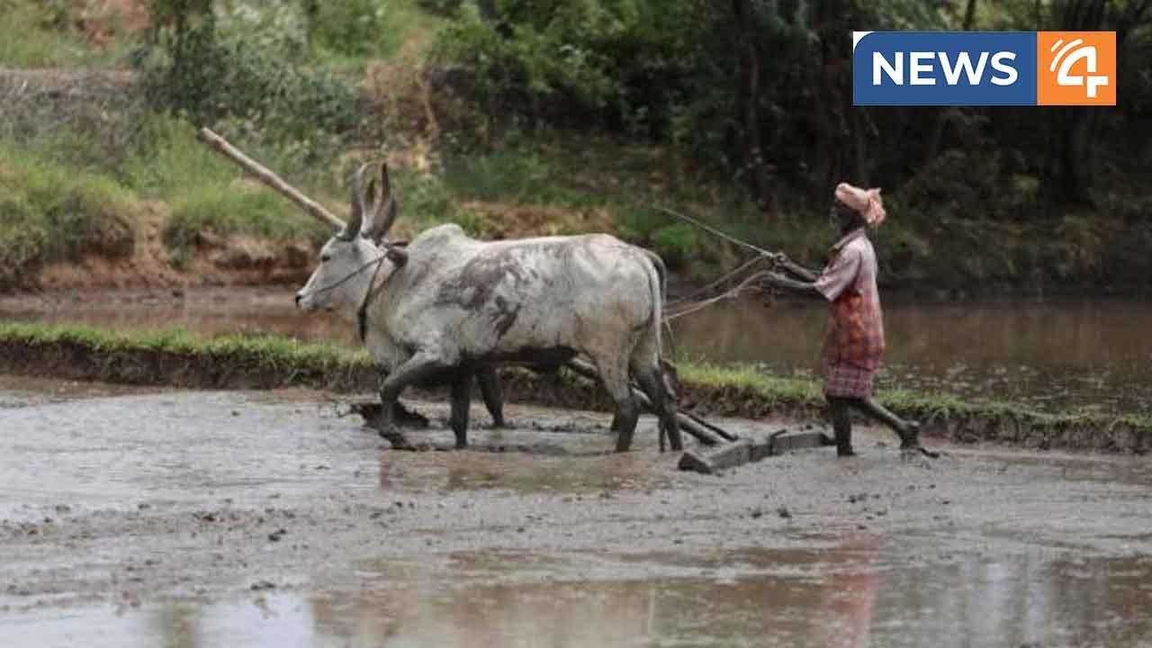 ഒന്നും രണ്ടും പിണറായി സർക്കാരുകളുടെ കാലത്ത് ആത്മഹത്യ ചെയ്ത കർഷകരുടെ എണ്ണം 200 : കേന്ദ്ര സർക്കാർ.