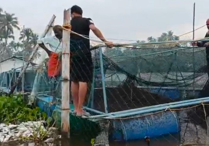 പെരിയാറിൽ തുടങ്ങി മതിലകത്തെത്തി; ഇപ്പോഴിത പൂവ്വത്തും കടവിലും; മത്സ്യങ്ങൾ കൂട്ടത്തോടെ ചത്തുപൊങ്ങുന്നത് പതിവാകുന്നു