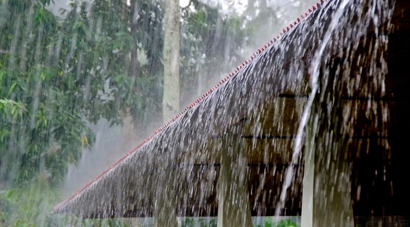 എത്തിയത് പെരുമഴക്കാലം, ഈ മഴ അങ്ങനൊന്നും പെയ്തൊഴിയില്ല; ഇന്ന് ഈ 8 ജില്ലകളെ കാത്തിരിക്കുന്നത് പെരുമഴയും ഇടിമിന്നലും; ഞായറാഴ്ച വീട്ടിലിരിക്കാം