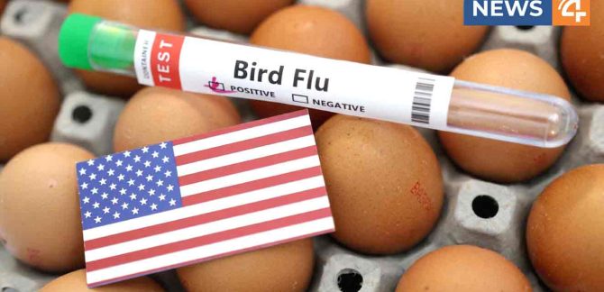 bird-flu-in us