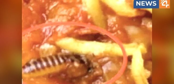 worm in biriyani