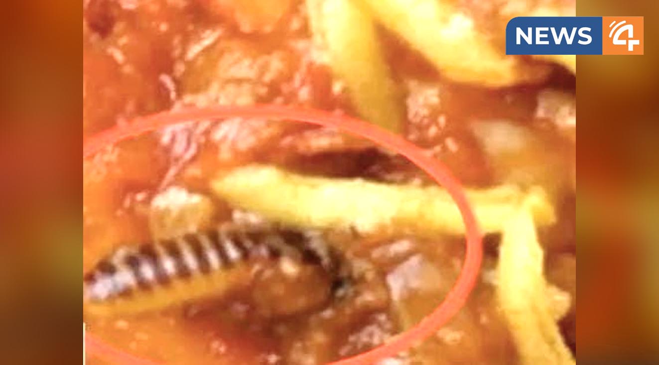 worm in biriyani