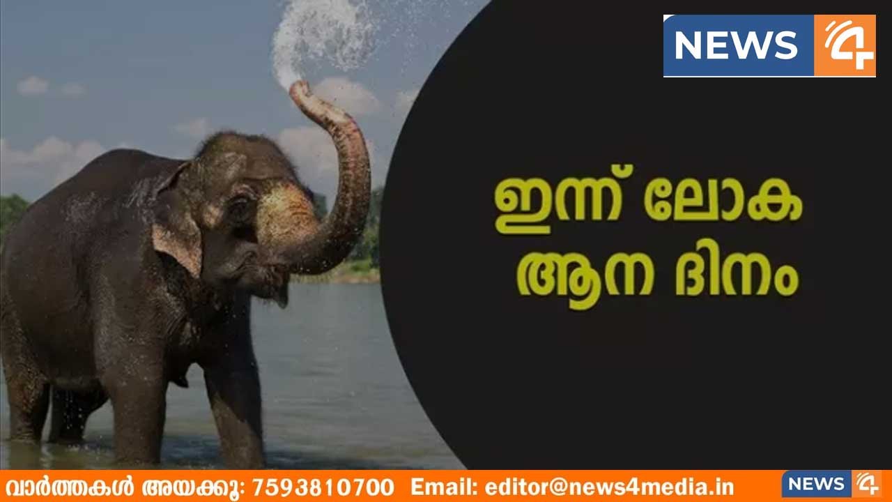 ഗുരുവായൂർ കേശവൻ, തെച്ചിക്കോട്ട്കാവ് രാമചന്ദ്രൻ, പാമ്പാടി രാജൻ, തൃക്കടവൂർ ശിവരാജു, പുതുപ്പള്ളി കേശവൻ, ചിറക്കൽ കാളിദാസൻ, മം​ഗലാംകുന്ന് കർണൻ…ഇന്ന് ലോക ആനദിനം, ഇന്നൊരൽപം ആന വിശേഷമാവാം, ഒപ്പം അധികമാരും കേൾക്കാത്ത ആനക്കഥകളും…