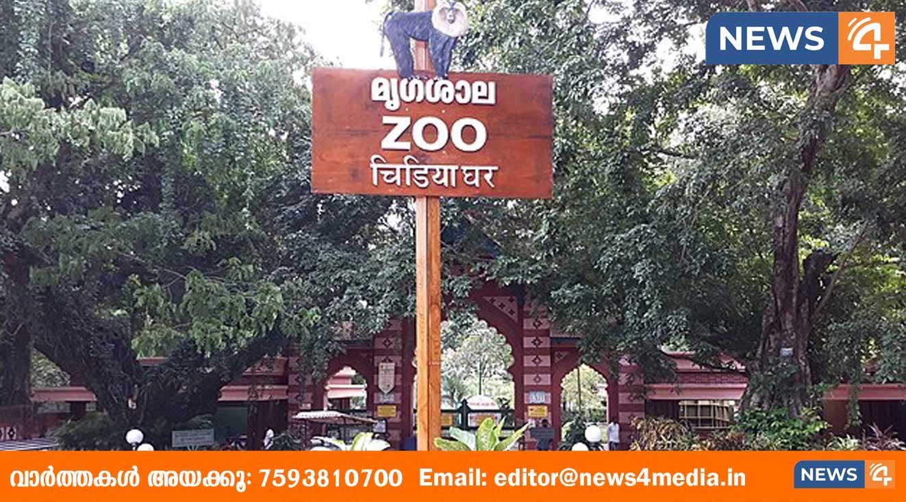 തിരുവനന്തപുരം മൃഗശാലയിൽ വീണ്ടും കുരങ്ങുകൾ ചാടി പോയി; ഇത്തവണ പോയത് മൂന്ന് പെൺ ഹനുമാൻ കുരങ്ങുകൾ