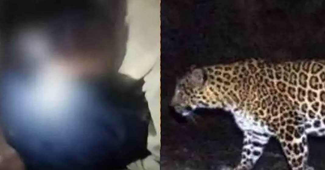 leopad