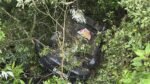 A damaged car in a gorge at Rajamala, Munnar, after losing control and falling 30 feet; fire force team rescuing an injured couple
