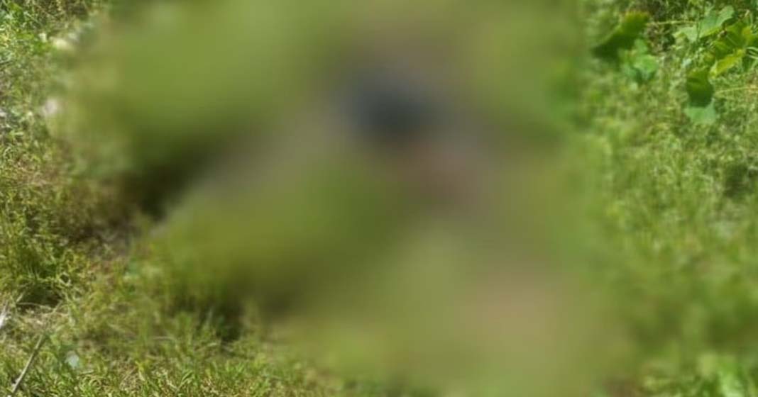 thrissur തൃശൂരിൽ അജ്ഞാത പുരുഷന്റെ അഴുകിയ മൃതദേഹം കണ്ടെത്തി; കണ്ടെത്തിയത് ചേറ്റുവ പഴയ ടോൾ ബൂത്തിനടുത്ത്, ദുരൂഹത