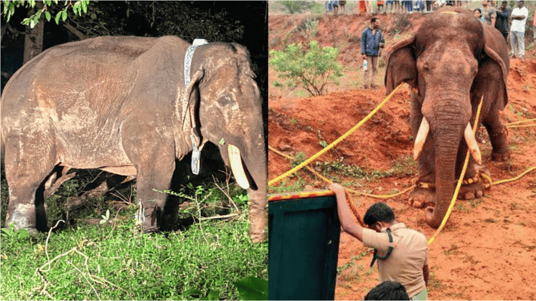 റോളക്സ് ഇനി ഇല്ല