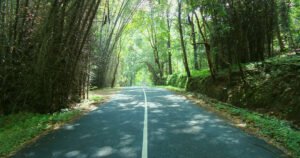 വാഴച്ചാൽ–മലക്കപ്പാറ ഗതാഗത നിരോധനം