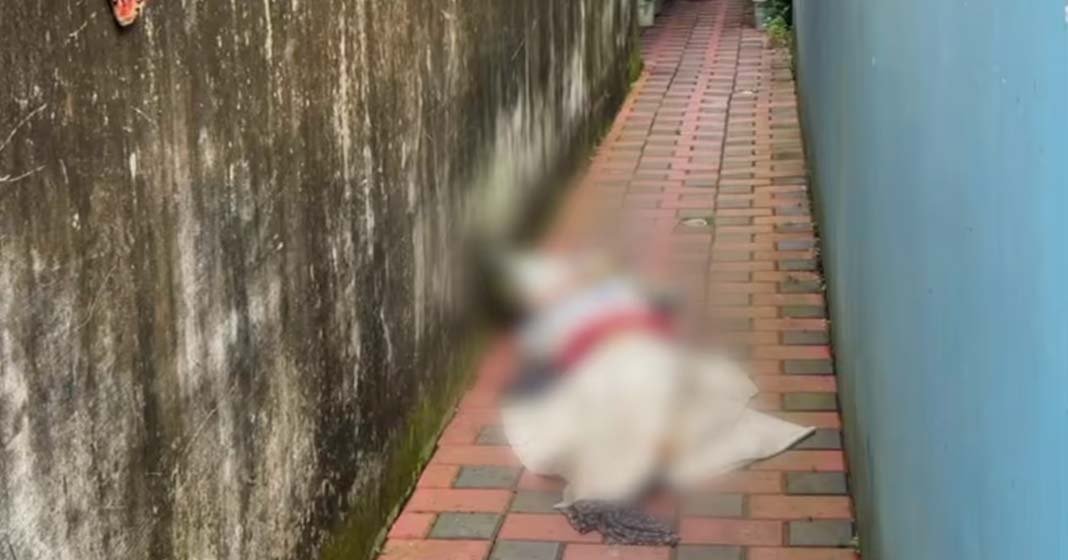 എറണാകുളം തേവരയിൽ സ്ത്രീയുടെ ജഡം ചാക്കിൽ പൊതിഞ്ഞനിലയിൽ; കണ്ടെത്തിയത് വീട്ടുവളപ്പിൽ; ഒപ്പം കിടന്നുറങ്ങി വീട്ടുകാരൻ