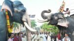 Devotees and temple elephants offering tribute at the remembrance ceremony of Guruvayur Keshavan at Guruvayur Temple