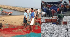 ചാകരക്കാലത്ത് വല തകർത്ത് കടൽ