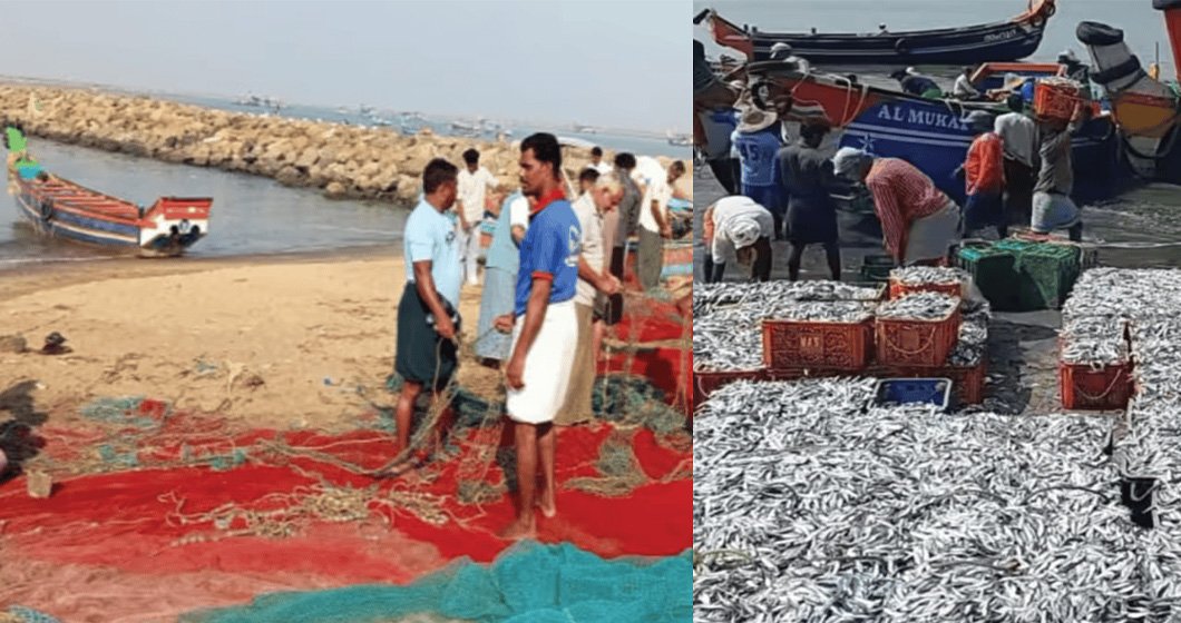 ചാകരക്കാലത്ത് വല തകർത്ത് കടൽ