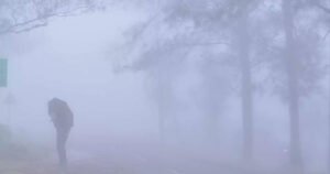 ‘ഡിറ്റ് വാ’ പ്രഭാവം കേരളത്തിൽ;