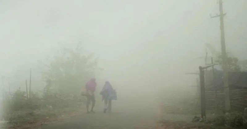 Ground frost covering the green meadows of Munnar during extreme winter season.