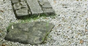 20 വർഷം വീട്ടുമുറ്റത്ത് ചവിട്ടുപടിയായി ഉപയോഗിച്ചിരുന്ന സാധാരണ കല്ലുകൾ; എന്നാൽ ആ കല്ലുകൾ ശരിക്കും എന്താണെന്നറിഞ്ഞപ്പോൾ ഞെട്ടി വീട്ടുകാർ …!