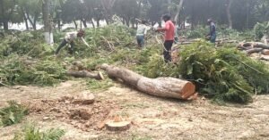 സംസ്ഥാനത്ത് മുൻകൂർ അനുമതിയില്ലാതെ മരങ്ങൾ മുറിക്കുന്നത് കർശനമായി വിലക്കി പഞ്ചാബ്: കാരണം ഇതാണ്: