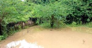 വേനലിൽ വന്യ ജീവികൾക്കും ദാഹമകറ്റണം….. ചെക്ക്ഡാമുകളും കുളങ്ങളും വൃത്തിയാക്കി വനംവകുപ്പ്