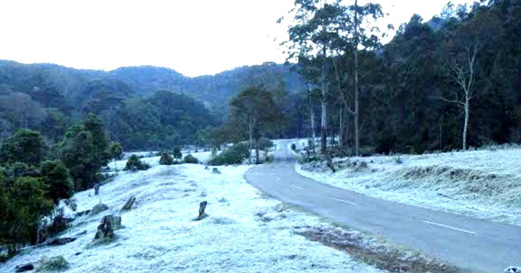 മൂന്നാർ വീണ്ടും അതിശൈത്യത്തിലേക്ക്; പുൽമേടുകളിൽ വ്യാപകമായി മഞ്ഞു പാളികൾ