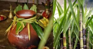 നാല് ദിവസം നീളുന്ന ആഘോഷം; പൊങ്കൽ ആഘോഷത്തിൽ ഇടുക്കിയിലെ തമിഴ് ഭൂരിപക്ഷ തോട്ടം മേഖല