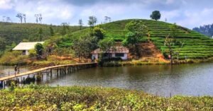 വാഗമൺ വശ്യമാണ്, പക്ഷേ ബസ് സ്റ്റാൻഡ് ഇല്ല; നട്ടംതിരിഞ്ഞു വിനോദ സഞ്ചാരികൾ ഉൾപ്പെടെ ജനം