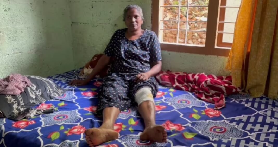 കോഴിക്കോട്