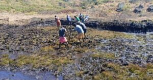 മൂന്നാറിൽ ജലം തേടിയിറങ്ങുന്ന മൃഗങ്ങളെ കാടു കയറ്റാൻ വനം വകുപ്പിൻ്റെ പുതിയ തന്ത്രം !