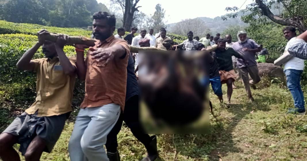 രണ്ടുമാസത്തിനിടെ കൊല്ലപ്പെട്ടത് ഗർഭിണി ഉൾപ്പെടെ 10 പശുക്കൾ; ഇവിടെ പ്രതിഷേധം കത്തുന്നു