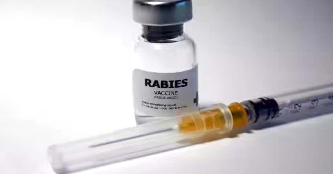 ആന്റിറേബീസ് വാക്സീനെടുത്തിട്ടും പേവിഷബാധയേറ്റുള്ള മരണങ്ങൾ: രാജ്യത്ത് വ്യാജ പേവിഷവാക്സീൻ ഉണ്ടെന്ന് കേന്ദ്ര മന്ത്രാലയം
