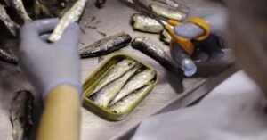 കാഴ്ച മങ്ങുന്നോ? ഭക്ഷണം ഇറക്കാൻ പ്രയാസമോ? ബോട്ടിലിസം എന്ന കൊടും വില്ലനെ സൂക്ഷിക്കുക…! അയലയും മത്തിയും വരെ കാരണമായേക്കാം