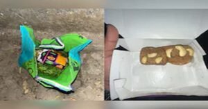 മരുമകളെയും കുടുംബത്തെയും ഇല്ലാതാക്കാൻ ഭർതൃവീട്ടുകാരുടെ 'വിഷപ്പൊതി'; ഉപേക്ഷിക്കപ്പെട്ട പലഹാരപ്പെട്ടിയിലെ മധുരം കഴിച്ച മൂന്നുപേർക്ക് ദാരുണാന്ത്യം