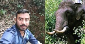 തൃശൂർ പീച്ചിയിൽ കാട്ടാന ആക്രമണം; മയിലാടുംപാറ സ്വദേശിയായ യുവാവിന് ദാരുണാന്ത്യം