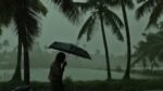 Dark monsoon clouds over Kerala landscape, heavy rain falling on coconut trees representing the weather alert.