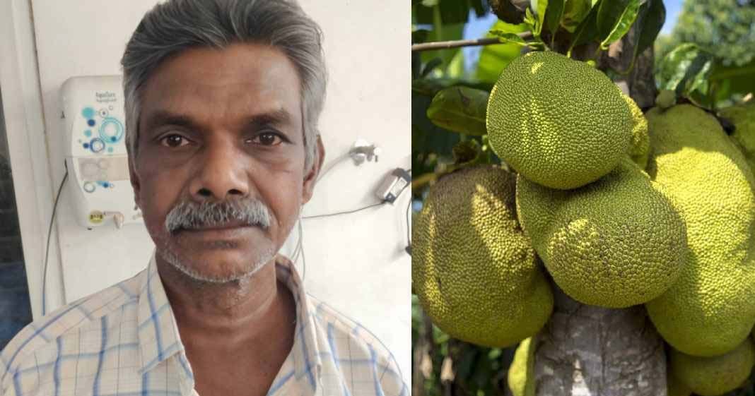 അനുവാദം ചോദിക്കാതെ ചക്ക എടുത്തതിന് കൊടും ക്രൂരത; പൂവരണി സ്വദേശിക്ക് ജീവപര്യന്തം തടവ്