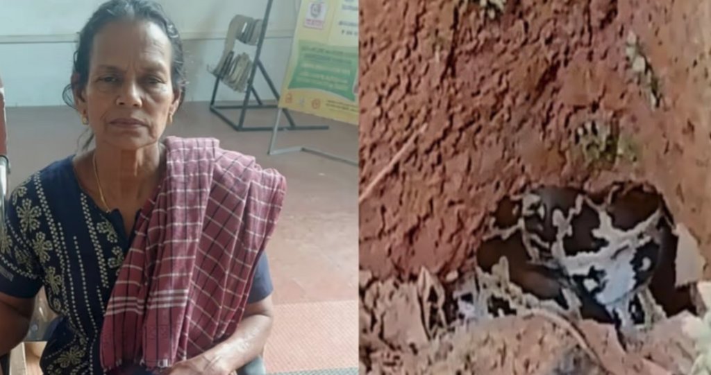 തൊഴിലുറപ്പ്