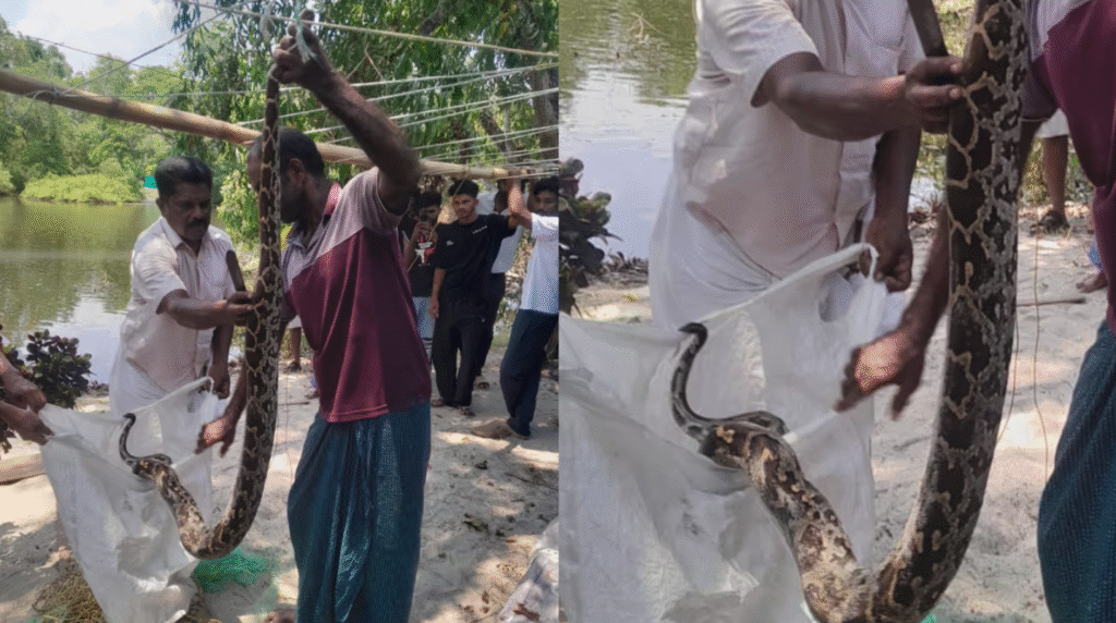 അമ്പലപ്പുഴ