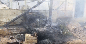 തീപിടുത്തത്തിൽ